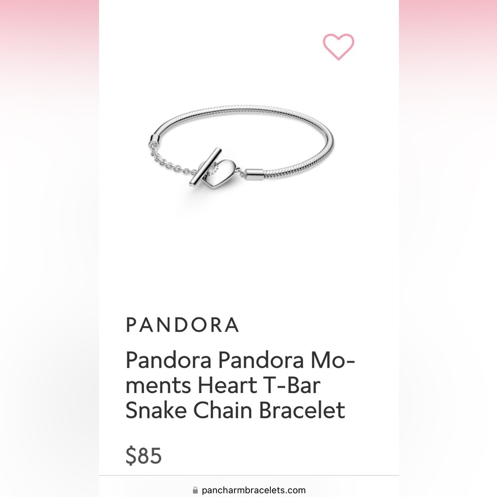 Pandora charm bracelet